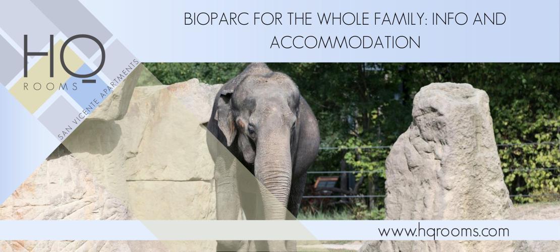 valencia_bioparc_-2